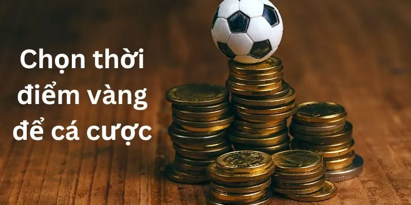 Chọn thời điểm vàng để cá cược